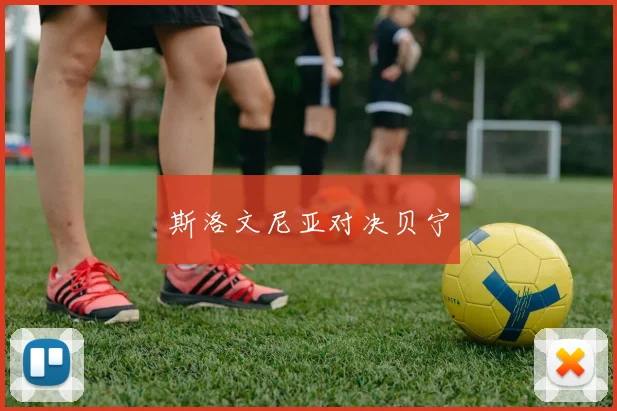 斯洛文尼亚对决贝宁