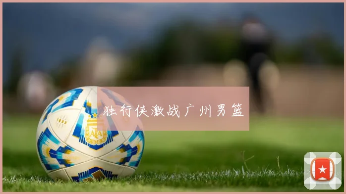 独行侠激战广州男篮