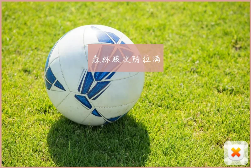 森林狼攻防拉满