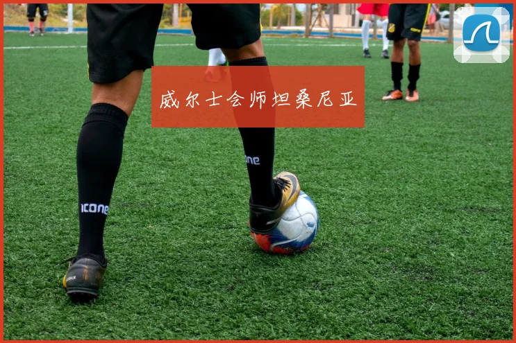 威尔士会师坦桑尼亚