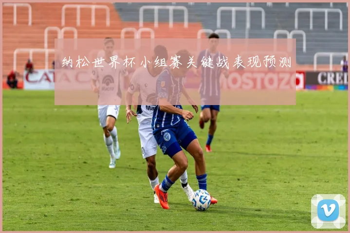 纳松世界杯小组赛关键战表现预测