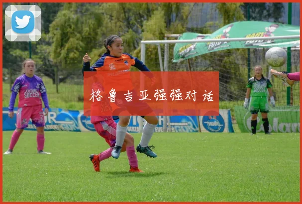 格鲁吉亚强强对话