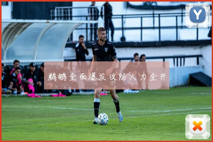 鹈鹕全面爆发攻防火力全开