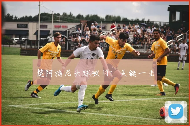 楚阿梅尼头球破门：关键一击
