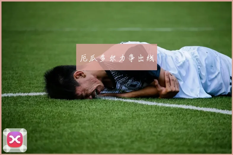 厄瓜多尔力争出线