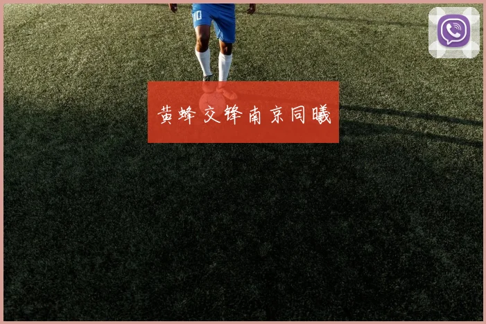 黄蜂交锋南京同曦