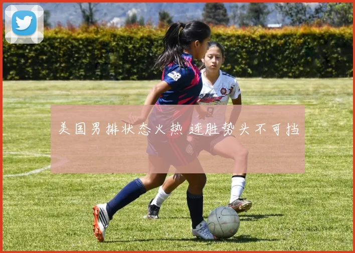 美国男排状态火热 连胜势头不可挡