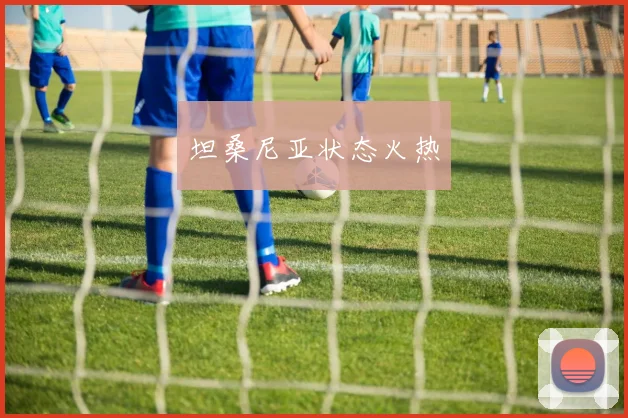 坦桑尼亚状态火热