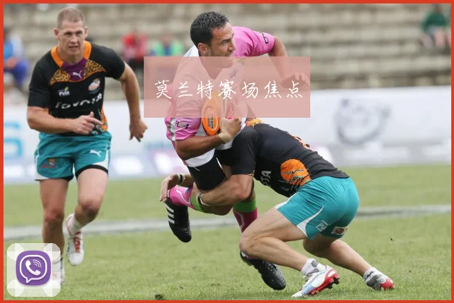 莫兰特赛场焦点