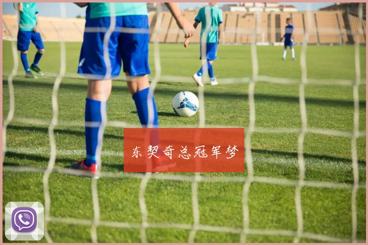 东契奇总冠军梦