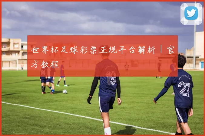 世界杯足球彩票正规平台解析｜官方教程