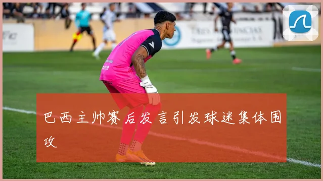 巴西主帅赛后发言引发球迷集体围攻