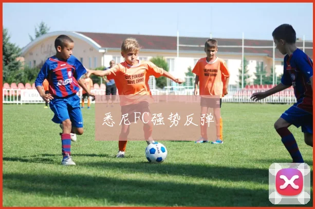 悉尼FC强势反弹