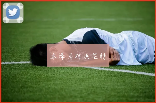 本泽马对决芒特