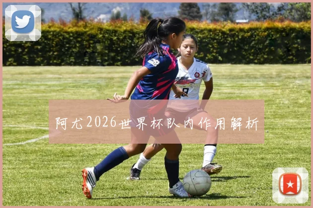 阿尤2026世界杯队内作用解析