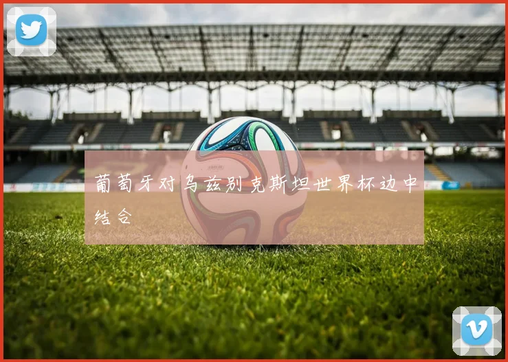 葡萄牙对乌兹别克斯坦世界杯边中结合