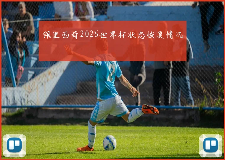 佩里西奇2026世界杯状态恢复情况