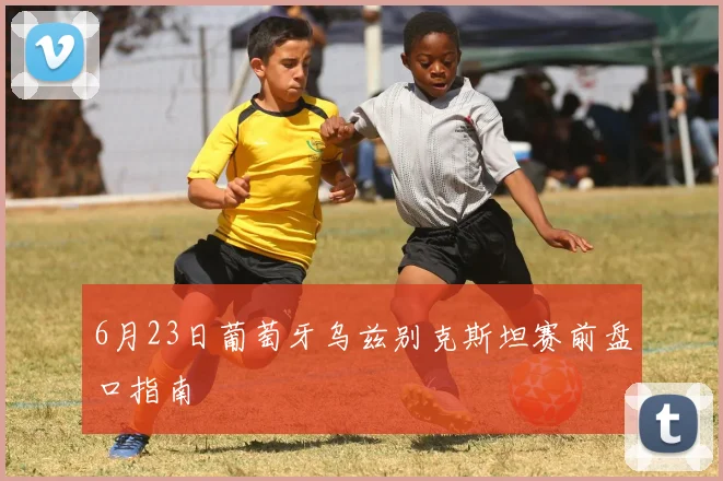 6月23日葡萄牙乌兹别克斯坦赛前盘口指南