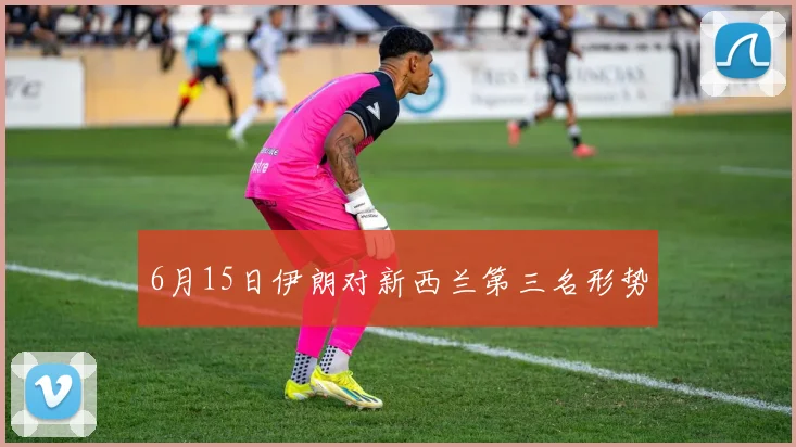 6月15日伊朗对新西兰第三名形势